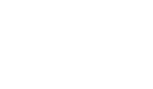 IP-Bee Untis